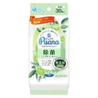 ウェットティッシュ ノンアルコール エリエール Puana（ピュアナ）除菌ノンアルコール 携帯用 1個（30枚） 大王製紙