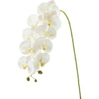 横浜ディスプレイミュージアム 造花 コチョウラン FA -7203