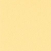 リンテック 色画用紙 ニューカラーR 四切 こいクリーム NCR1224 1包（100枚入）