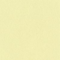 リンテック 色画用紙 ニューカラーR 四切 うぐいす NCR1054 1包（100枚入）