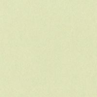 リンテック 色画用紙 ニューカラーR 四切 もえぎ NCR1244 1包（100枚入）