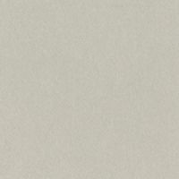 リンテック 色画用紙 ニューカラーR 四切 あかるいはいいろ NCR1134 1包（100枚入）