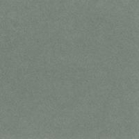 リンテック 色画用紙 ニューカラーR 四切 くらいはいいろ NCR2194 1包（100枚入）