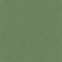 リンテック 色画用紙 ニューカラーR 四切 オリーブ NCR3164 1包（100枚入）