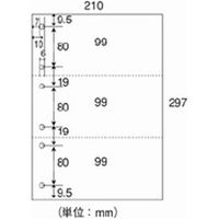 日本紙通商 カット紙 3分割6穴 A4 500枚×5冊 A4-3-6（直送品）