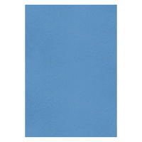 大王製紙 フレッシュカラー色画用紙 四切 イルカ B-6141 1袋（100枚）