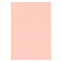 大王製紙 フレッシュカラー色画用紙 四切 サーモン A-6341 1袋（100枚）