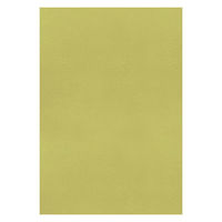 大王製紙 フレッシュカラー色画用紙 四切 やなぎ A-3641 1袋（100枚）