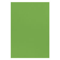 大王製紙 フレッシュカラー色画用紙 四切 こいきみどり B-3941 1袋（100枚）