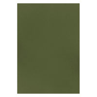 大王製紙 フレッシュカラー色画用紙 四切 オリーブ C-4841 1袋（100枚）