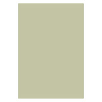 大王製紙 フレッシュカラー色画用紙 四切 うすいはいいろ A-5141 1袋（100枚）