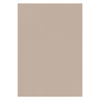 大王製紙 フレッシュカラー色画用紙 四切 あかるいはいい B-5241 1袋（100枚）