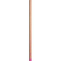 トンボ鉛筆 色鉛筆Ｓ木物語単色２２桃色 CB-RS22 1セット（6本）