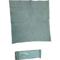 ヒメプラ MISM 高級おしぼり不織布 平 307050039 1袋(50枚) 149-2187（直送品）