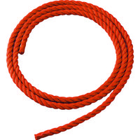トラスコ中山 TRUSCO 交換用ロープ 2連はしご48用 8m オレンジ色 TDLR-48 1本 161-1136（直送品）