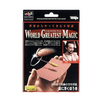 テンヨー　手品　宙に浮くほうき M11497 1セット（直送品）