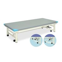 高田ベッド製作所 キャリーホーム(01) 幅90×長さ200×高さ45cm 白 TB-650-01 1個 61-4973-02（直送品）