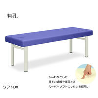 高田ベッド製作所 有孔ソフトDX 幅65×長さ180×高さ60cm ライトブルー TB-459U 1個 61-4305-27（直送品）