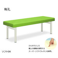 高田ベッド製作所 有孔ソフトDX 幅70×長さ180×高さ60cm 抹茶 TB-459U 1個 61-4306-41（直送品）
