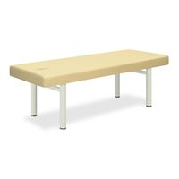 高田ベッド製作所 有孔フレンド 幅65×長さ180×高さ55cm ピンク TB-368U 1個 61-4295-28（直送品）