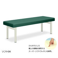 高田ベッド製作所 ソフトDX 幅70×長さ180×高さ55cm メディグリーン TB-459 1個 61-4302-99（直送品）
