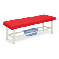 高田ベッド製作所 有孔外脚DXベッドー2 幅70×長さ180×高さ55cm レッド TB-122U 1個 61-4310-66（直送品）