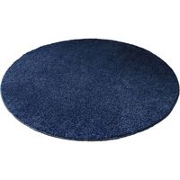 スミノエ FIT SIZE RUG レーヴ ラグ 防ダニ 1200×1200mm ブルー 4549781207926 1枚（直送品）