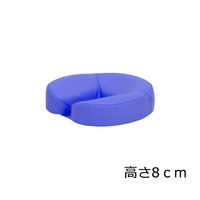 高田ベッド製作所 ニューフェイス 幅29×奥行29×高さ8cm ライトブルー TB-77C-126 1個 61-3726-34（直送品）