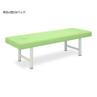 高田ベッド製作所 有孔H型DXベッド 幅70×長さ180×高さ55cm ライムグリーン TB-928U 1個 61-4289-91（直送品）