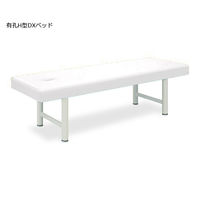 高田ベッド製作所 有孔H型DXベッド 幅70×長さ180×高さ60cm 白 TB-928U 1個 61-4289-94（直送品）
