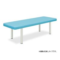 高田ベッド製作所 有孔DXベッドーR 幅65×長さ180×高さ55cm ライムグリーン TB-1068U 1個 61-4282-28（直送品）