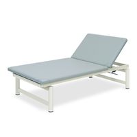 高田ベッド製作所 背あげプラットホーム 幅90×長さ200×高さ50cm ライトブルー TB-775 1個 61-5015-07（直送品）