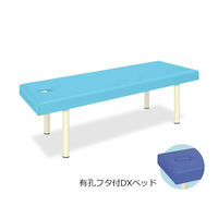 高田ベッド製作所 有孔フタ付DXベッド 幅65×長さ180×高さ60cm スカイブルー TB-581 1個 61-3459-77（直送品）