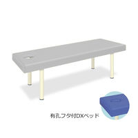 高田ベッド製作所 有孔フタ付DXベッド 幅70×長さ180×高さ60cm グレー TB-581 1個 61-3460-83（直送品）