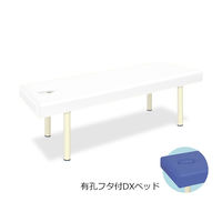 高田ベッド製作所 有孔フタ付DXベッド 幅70×長さ180×高さ60cm 白 TB-581 1個 61-3460-75（直送品）