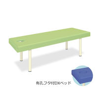 高田ベッド製作所 有孔フタ付DXベッド 幅70×長さ180×高さ60cm ライムグリーン TB-581 1個 61-3460-90（直送品）