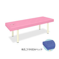 高田ベッド製作所 有孔フタ付DXベッド 幅65×長さ180×高さ50cm ピンク TB-581 1個 61-3459-36（直送品）
