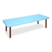 高田ベッド製作所 DXボディベッド 幅65×長さ180×高さ60cm スカイブルー TB-1211 1個 61-3446-69（直送品）