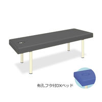 高田ベッド製作所 有孔フタ付DXベッド 幅70×長さ180×高さ50cm 黒 TB-581 1個 61-3460-41（直送品）