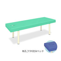 高田ベッド製作所 有孔フタ付DXベッド 幅65×長さ180×高さ55cm ライトグリーン TB-581 1個 61-3459-52（直送品）