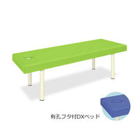 高田ベッド製作所 有孔フタ付DXベッド 幅70×長さ180×高さ50cm 抹茶 TB-581 1個 61-3460-49（直送品）