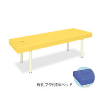 高田ベッド製作所 有孔フタ付DXベッド 幅65×長さ180×高さ55cm イエロー TB-581 1個 61-3459-55（直送品）