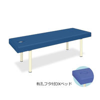 高田ベッド製作所 有孔フタ付DXベッド 幅70×長さ180×高さ50cm メディブルー TB-581 1個 61-3460-52（直送品）
