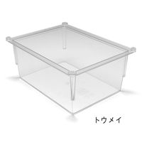 サカセ化学工業 トレー 34ー17タイプ(深さ17cm)帯電防止 透明 PT34-17 1個 62-0852-28（直送品）