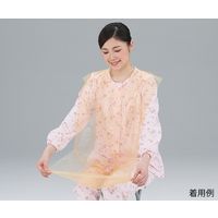 イワツキ ポケロン 10枚 007-70138 1袋(10枚) 61-9987-79（直送品）