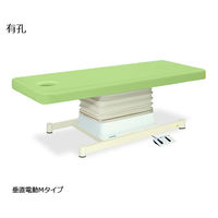 高田ベッド製作所 有孔垂直電動Mタイプ 幅60×長さ180×高さ46~79cm ライムグリーン TB-655U 1個 61-5871-41（直送品）