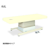 高田ベッド製作所 有孔垂直電動Mタイプ 幅60×長さ190×高さ46~79cm クリーム TB-655U 1個 61-5871-56（直送品）