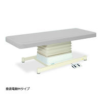 高田ベッド製作所 垂直電動Mタイプ 幅70×長さ180×高さ46~79cm グレー TB-655 1個 61-5870-25（直送品）
