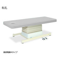 高田ベッド製作所 有孔垂直電動Mタイプ 幅70×長さ170×高さ46~79cm グレー TB-655U 1個 61-5872-25（直送品）