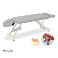 高田ベッド製作所 MRスリム 幅50×長さ170~200×高さ55cm グレー TB-1054 1個 61-6454-27（直送品）